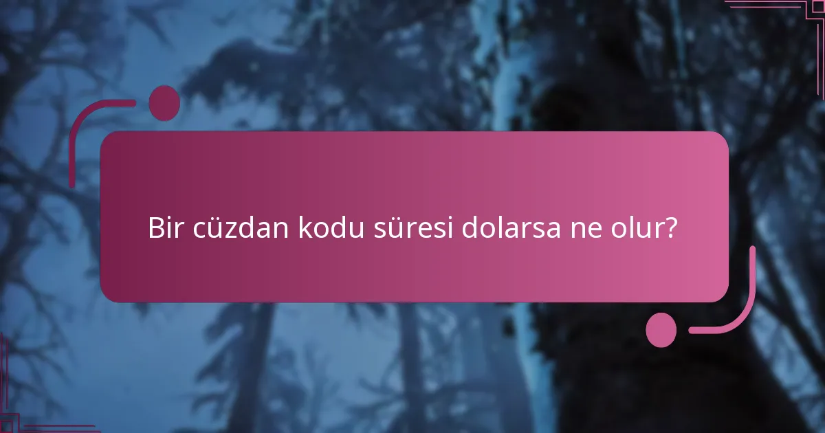 God of War Ragnarok’ta cüzdan kodları nasıl kullanılır?