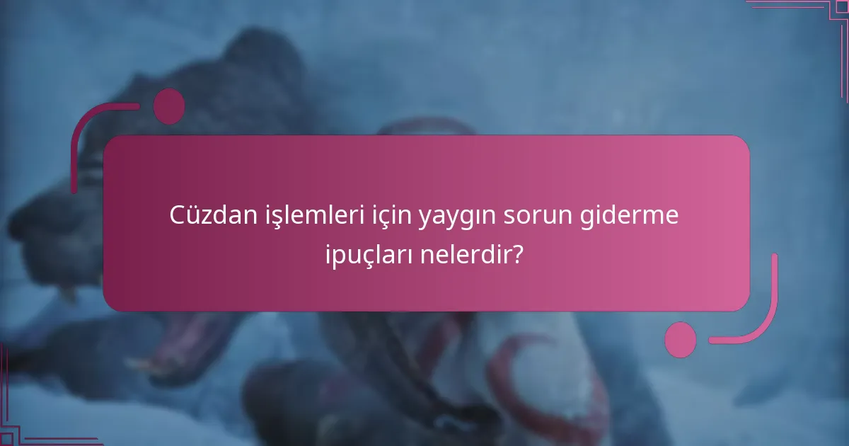 DLC satın alımları için hangi ödeme yöntemleri destekleniyor?