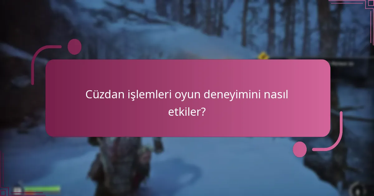 Cüzdan işlemleriyle hangi tür satın alımlar yapılabilir?