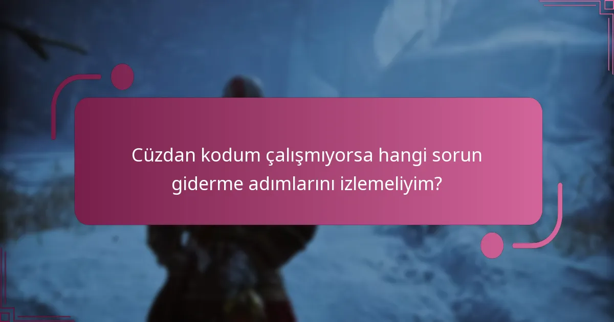 Cüzdan kodum çalışmıyorsa hangi sorun giderme adımlarını izlemeliyim?