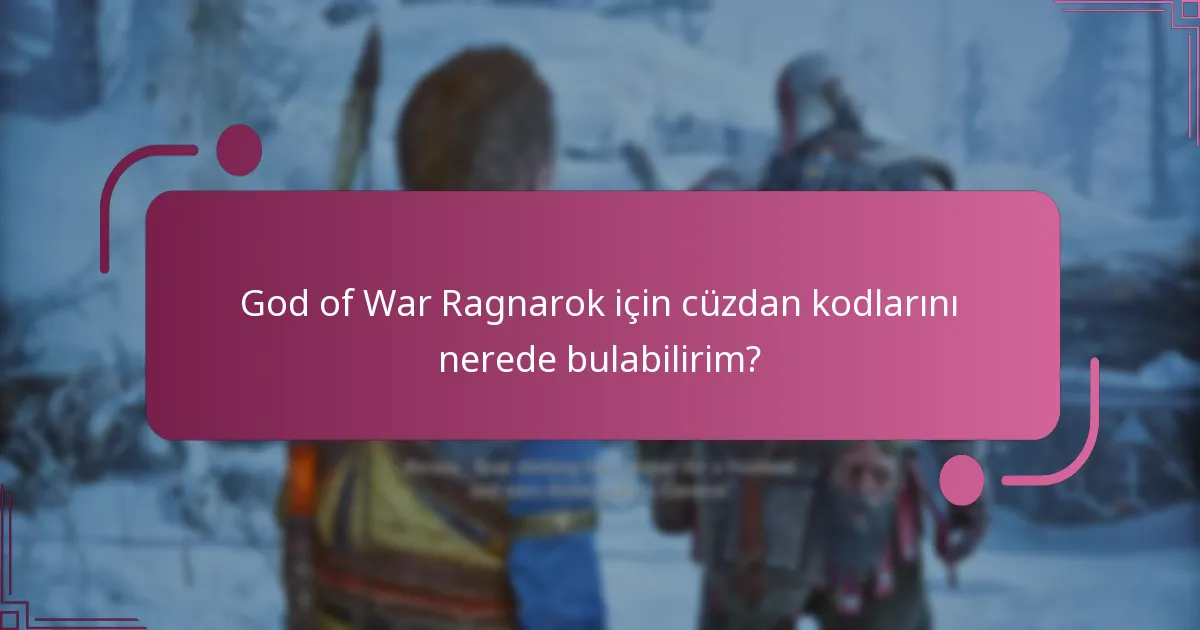 Cüzdan kodlarını kullanırken hangi yaygın sorunlar ortaya çıkar?