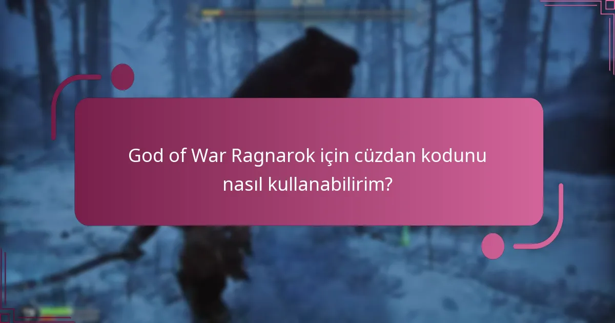 Oyun içi satın alımlar için hangi cüzdan kodları kullanılabilir?