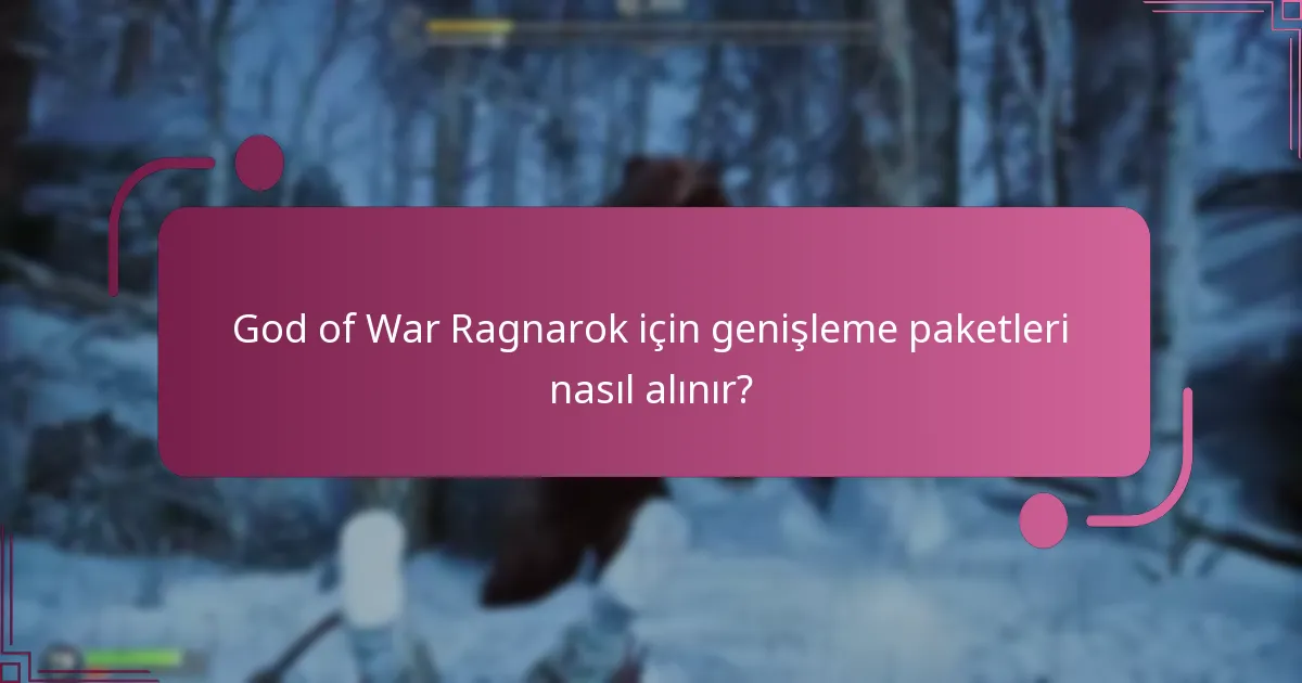 Hangi genişleme paketi en iyi fiyat/performans oranını sunuyor?