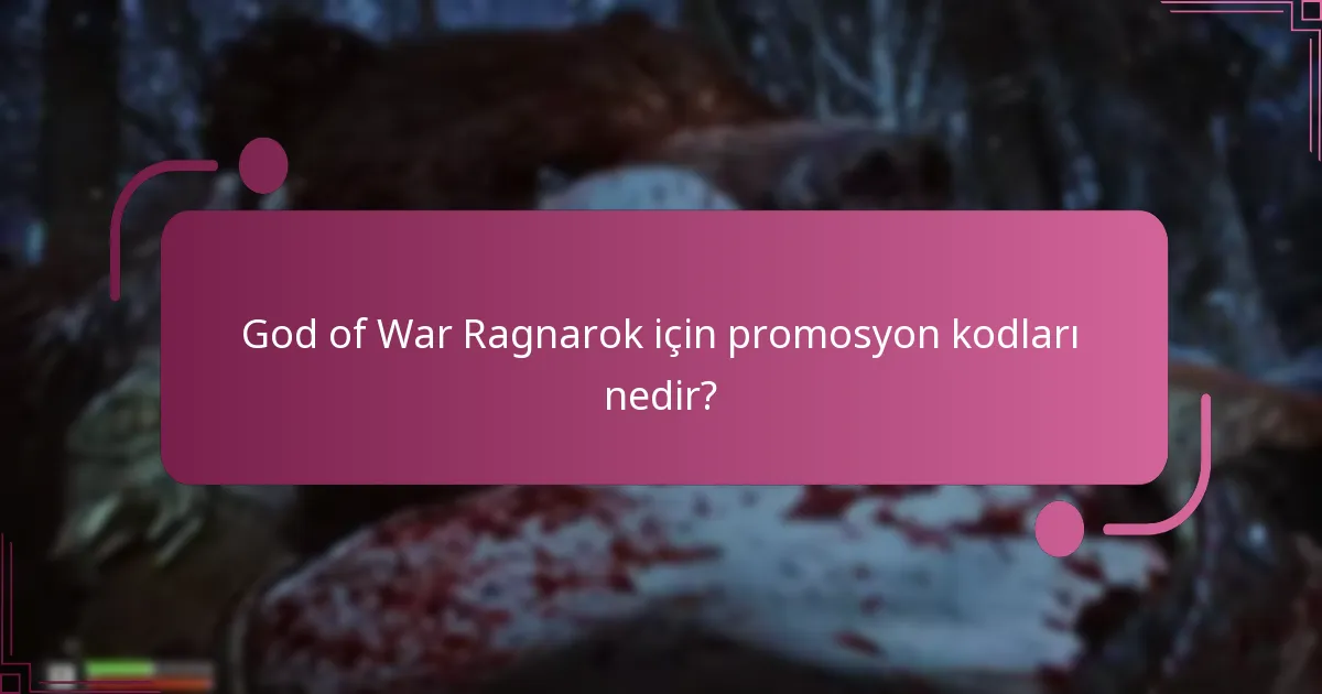 Promosyon kodlarının geçerliliği nedir?