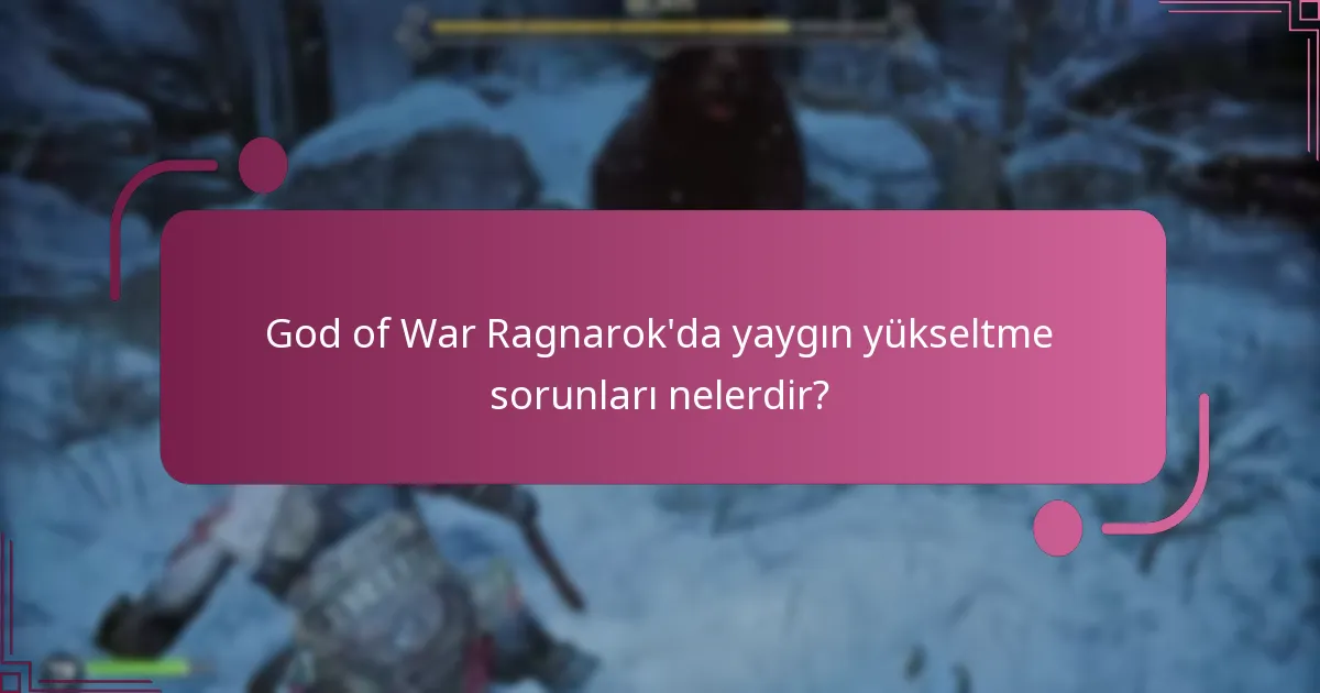 Yükseltme sorunlarını ele almak için hangi resmi kaynaklar mevcuttur?