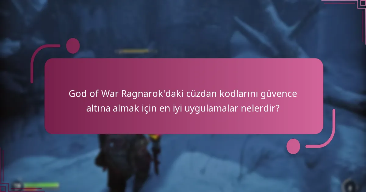 Kullanıcılar cüzdan kodları için güvenlik önlemlerini nasıl uygulayabilir?