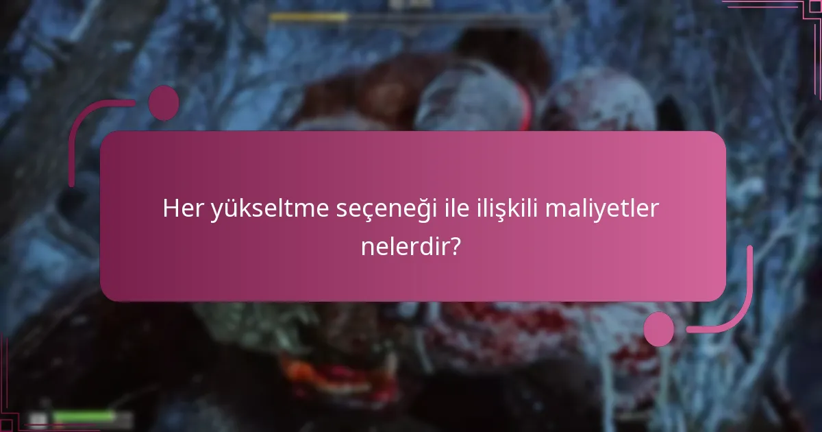 Her yükseltme seçeneği ile ilişkili maliyetler nelerdir?