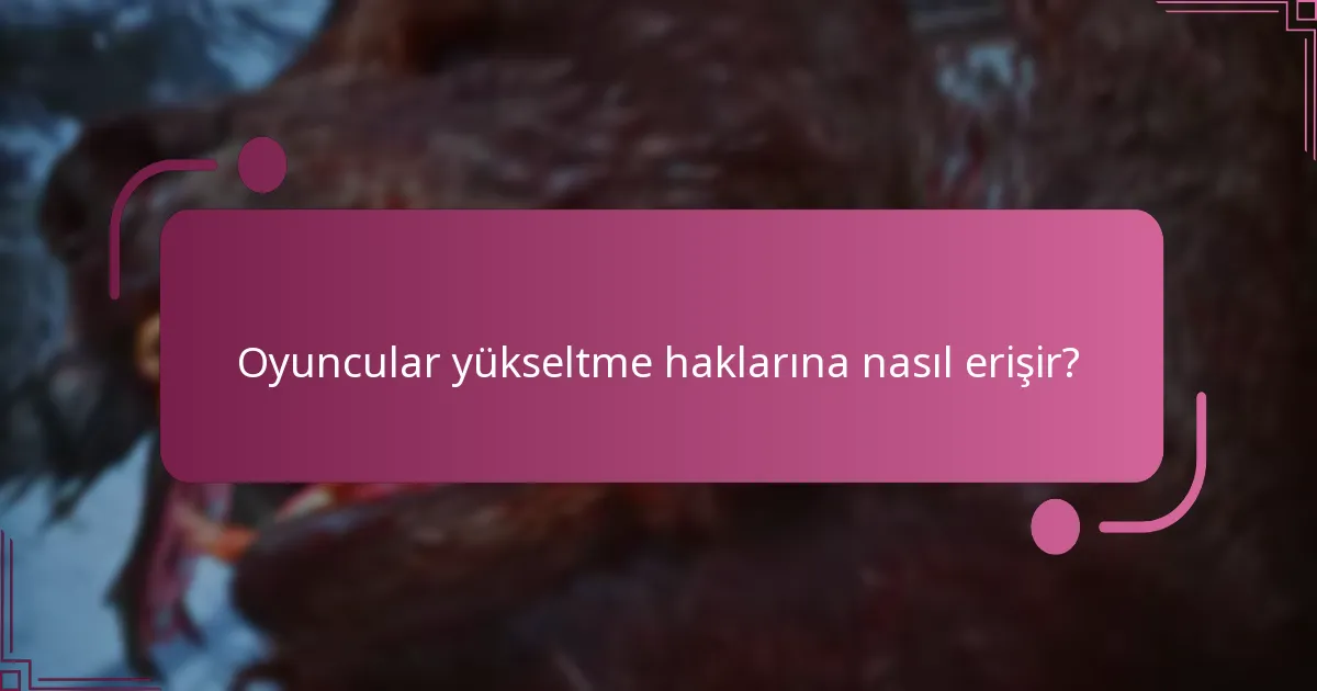 Yükseltme haklarının avantajları nelerdir?
